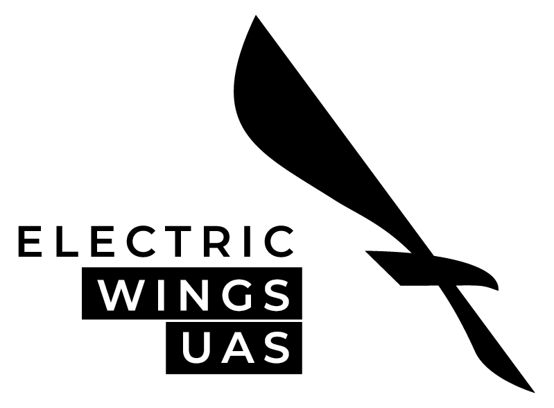 Electric Wings Group