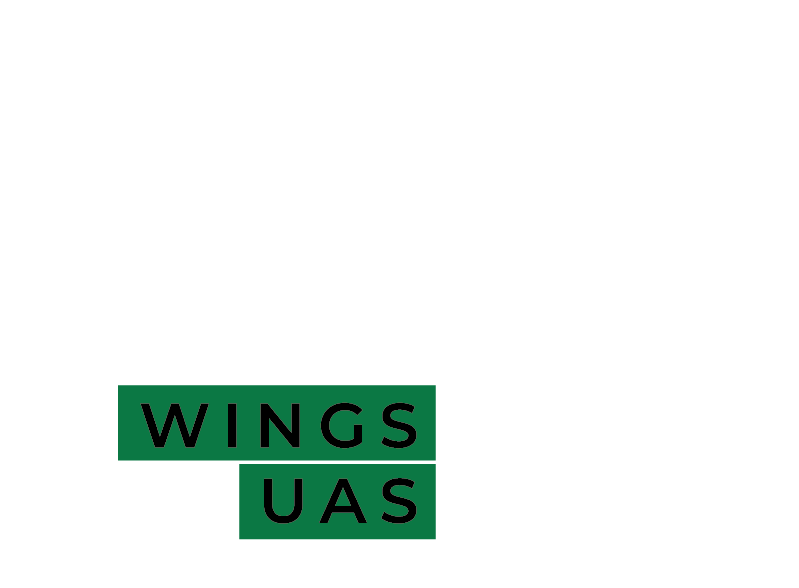 logo wings white