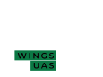 logo wings white